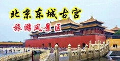 欧美人大号鸡吧操逼逼中国北京-东城古宫旅游风景区